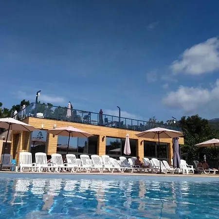 Campsite 4 Etoiles - Piscine - Ccbfiee *